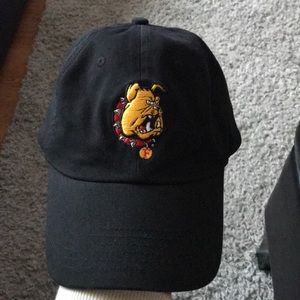 Ferris State Bulldogs Dad cap